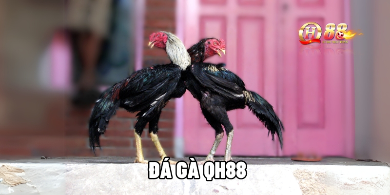 da ga qh88 1